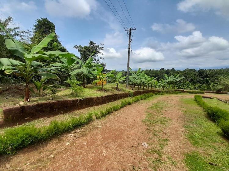 Nisarga Homestay, Dharmasthala Dharmastala Exterior photo